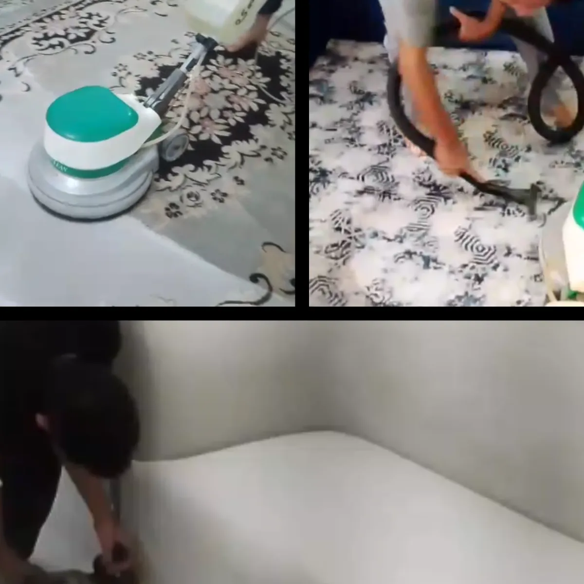 مؤسسة خدمات التنظيف ومكافحة الحشرات - ينبع - حي ينبع النخل